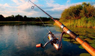钓鱼抛竿如何精准 3个钓鱼抛竿技巧你需要知道