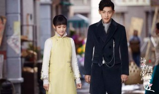 顾海棠胭脂透电视剧多少集 讲的是什么