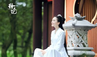 择天记电视剧结局 关于这部电视剧的简介