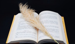 轴怎么读 详细释义有哪些