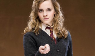 赫敏格兰杰的扮演者 你一定认识她