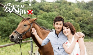 爱人的谎言夏琳向阳结局 关于此剧的介绍