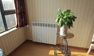 新换的暖气用放气吗 原来是这个样子