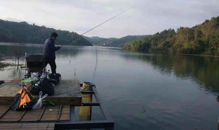 西南风好钓鱼吗 最好钓鱼的风向是什么