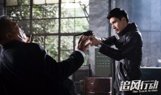 追风行动演员表 对该剧进行一个简介