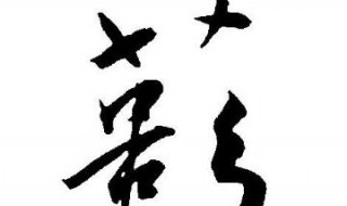 薮怎么读 读sǒu