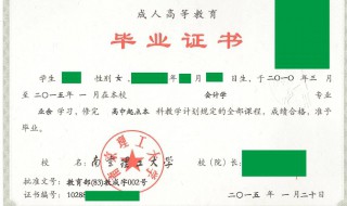 本科与专科的区别是什么 从这12方面分析本科与专科的不同