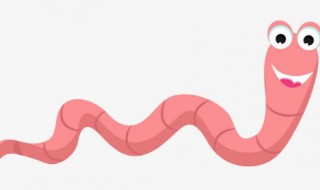 挂蚯蚓的正确方法 钓鱼蚯蚓挂钩技巧