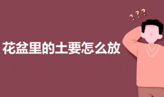 花盆装土最佳方法 花盆里的土要怎么放