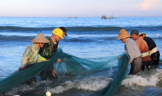 为什么不能喝海水 不能喝海水的原因