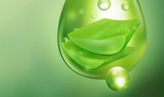 美容芦荟处理方法 怎么用芦荟美容