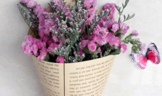 干花怎么养 养干花的方法