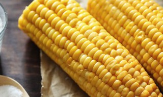 玉米的储存方法 玉米的储存方法介绍