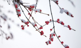 寒冬腊月造句子 寒冬腊月造句子列述