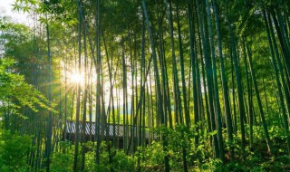 溧阳有什么好玩的地方 溧阳好玩的地方介绍