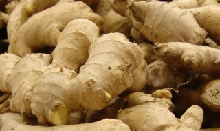 新鲜生姜怎么保存 新鲜生姜保存方法介绍