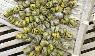 铁皮石斛适合什么人吃 哪些人适合吃铁皮石斛