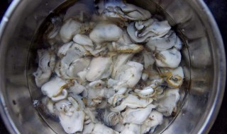 盐水浸大蚌如何做 盐水浸大蚌怎么做
