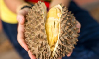 整个榴莲怎么保存 如何保存榴莲