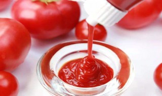 自制的番茄酱怎么保存 保存自制的番茄酱方法