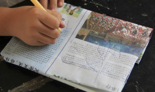 梗是什么意思梗有哪些 梗的意思有哪些梗