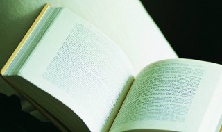 年轻人不讲武德耗子什么意思 年轻人不讲武德耗子解释