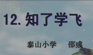 知了学飞体现了什么道理 知了学飞故事全文