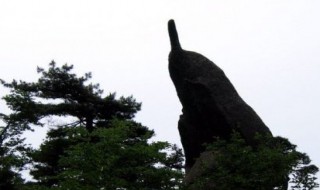 黄山奇石的奇是什么意思 黄山奇石的简介