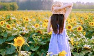 寄语一句话小清新 一句话小清新心语说说