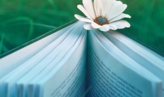 描写冬天景色的句子 描写冬天景色唯美句子大全