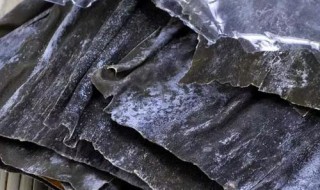 干海带怎么发是正确的 正确的发干海带方法
