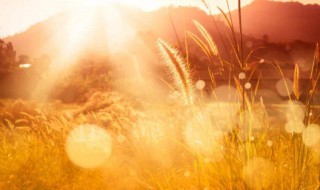 人怎么晒太阳才正确 正确的晒太阳的方式