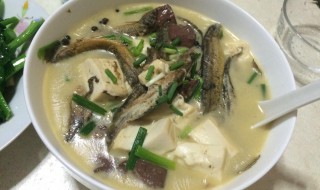 粤菜泥鳅怎么做汤 泥鳅汤怎么做最补