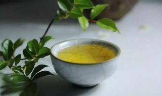绿茶适合什么时候喝 绿茶是什么茶