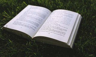 旭日东升是什么意思 旭日东升解释