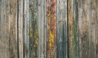 木板去霉方法 木板去霉方法分享