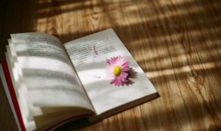 百步穿杨是什么意思 百步穿杨解释及出处介绍