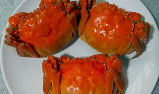 吃蟹不能吃什么 吃蟹不能跟什么食物同吃