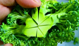 择西兰花的方法 西兰花有什么营养价值