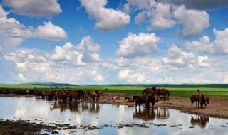 描写夏天早上的句子 夏天早晨问候语