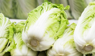 冬天吃什么菜对身体好 冬天应该吃这些菜