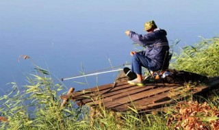 钓淡水鱼调漂方法 钓淡水鱼调漂方法是什么