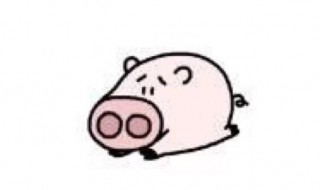 冬天养猪的十大技巧 关于冬天养猪的十大技巧