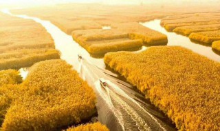 秋去冬来的美景句子 在秋去冬来中成长