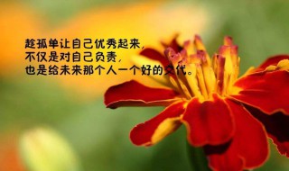 朋友圈正能量语录短句 适合发朋友圈的句子