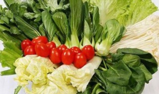 冬天吃什么菜暖和 冬天吃什么菜好