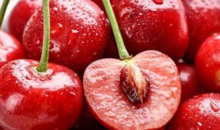 冬天吃什么水果养胃 冬天3种养胃水果介绍