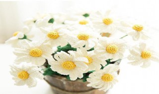 钩织花如何做盆栽 几个步骤制作好看的雏菊盆栽