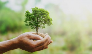 保护生态环境的句子 关于保护生态环境的句子