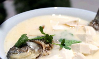 鲫鱼煲汤怎么做的 鲫鱼煲汤如何做的